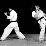 Мае Аши Мае Гери (Mae Ashi Mae Geri)