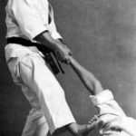 Мае Гери Фумикоми (Mae Geri Fumikomi)