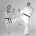 Учи Момо Гери (Uchi Momo Geri)