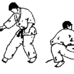 кайтен гари