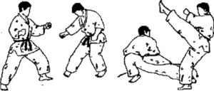 кайтен гари