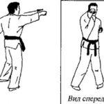 сейкен цуки
