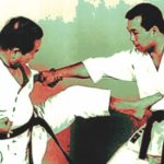 цумасаки гери удар (Tsumasaki geri)