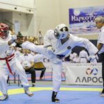 всестилевое каратэ