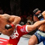 UFC удар ногой с разворота