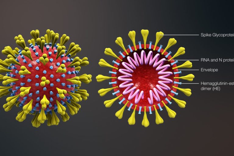 coronavirus