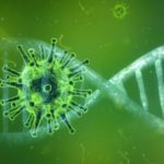 coronavirus и днк