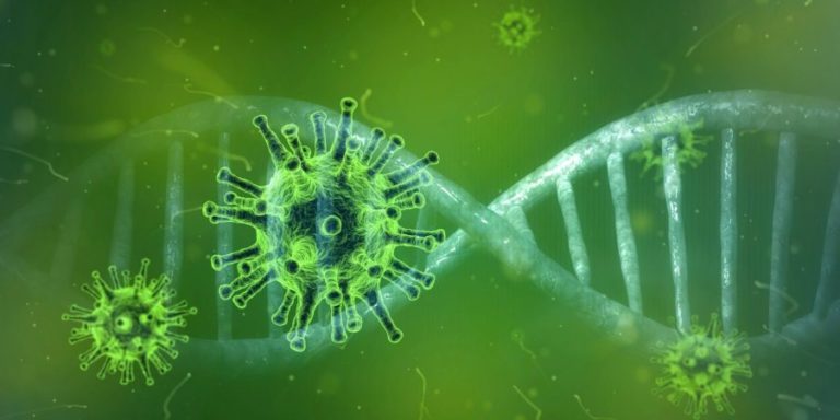 coronavirus и днк