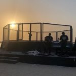 бойцовский остров уайта