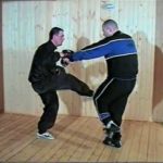 волновая система юрия федина