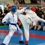 спортивные разряды в рукопашном бою