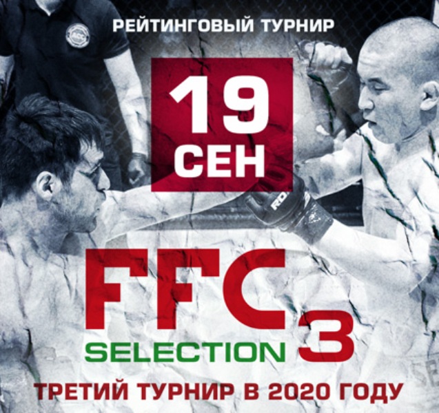 FFC3-stories