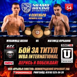 shamoboxing 54