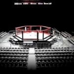octagon-mma