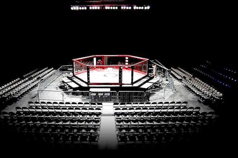 octagon-mma