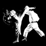 стилевое-каратэ