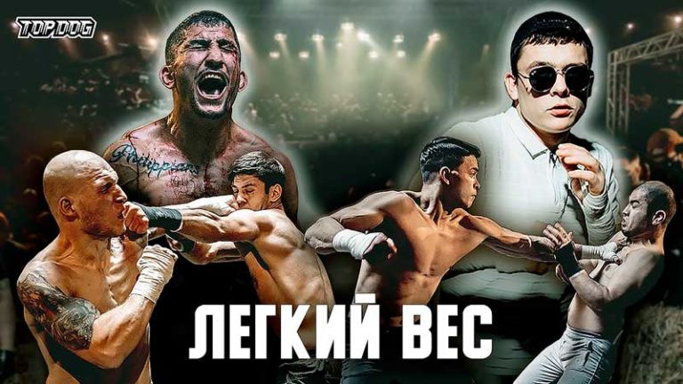 TDFC-легкий-вес