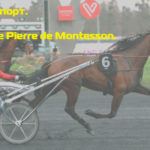 Конный-спорт.-Бега.-Prix-Comte-Pierre-de-Montesson.