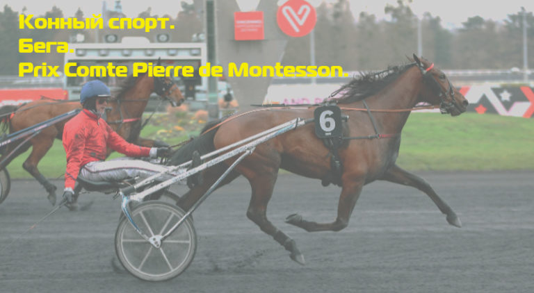 Конный-спорт.-Бега.-Prix-Comte-Pierre-de-Montesson.