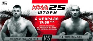 ММА-серия-25
