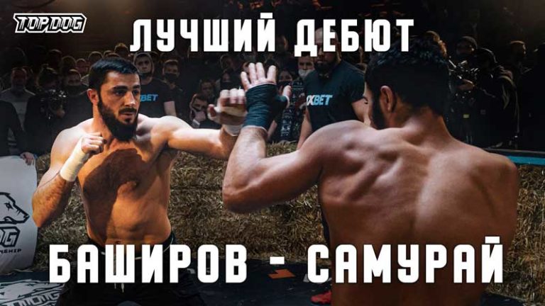 баширов-самурай