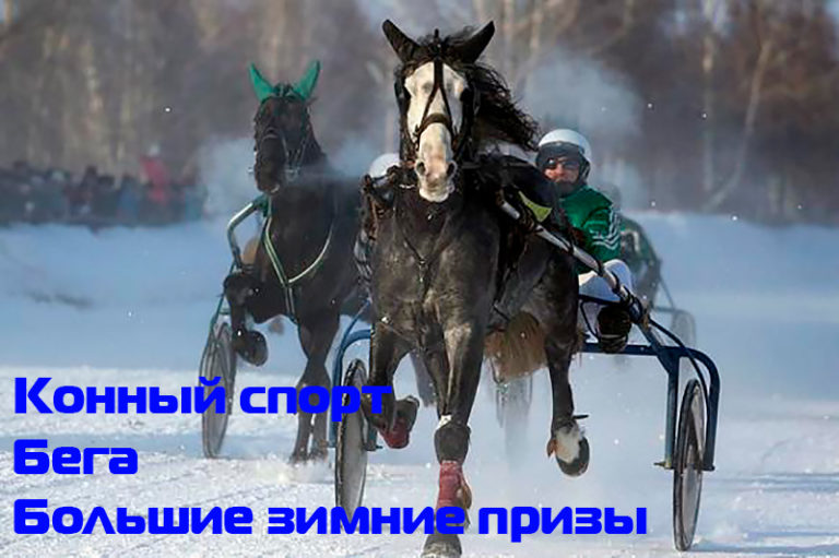 бега-большие-призы