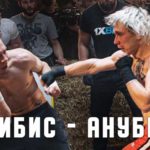 топ-дог-чибис-анубис