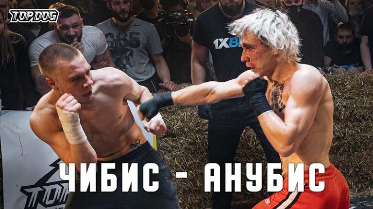 топ-дог-чибис-анубис