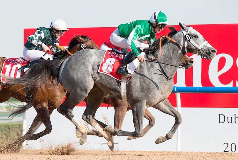 Dubai-World-Cup-Carnival.-Super-Saturday