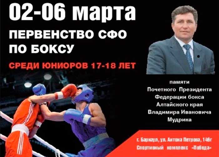 Первенство-СФО-по-боксу