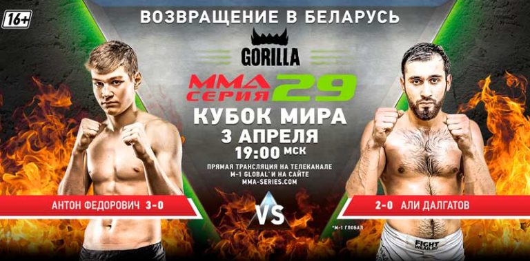 MMA-SERIES-29