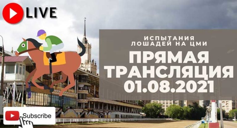 Бега-москва-дерби