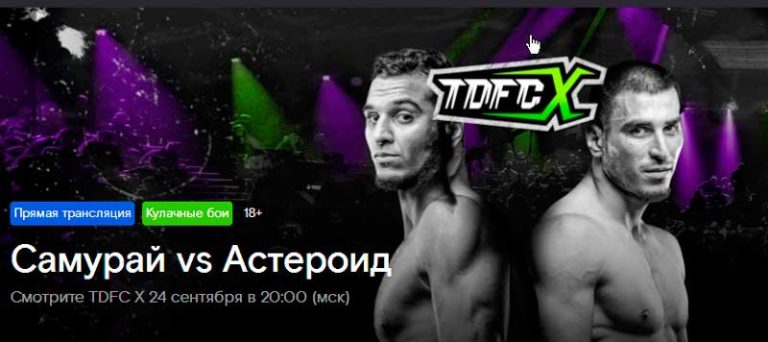 top-dog-x