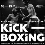 Кубок-кикбоксинга