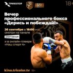Шамо-боксинг-64