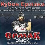 мма-кубок-Ермака