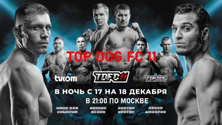 TDFC-11