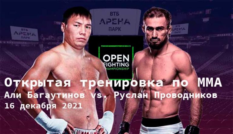 багаутдинов-проводников