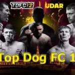 Top-Dog-FC-12