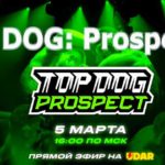 Топ-дог-прожект-2