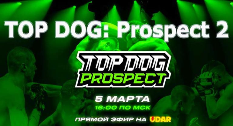 Топ-дог-прожект-2