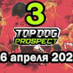 Top-Dog-Prospect-3