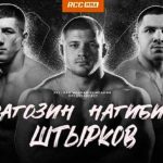 RCC-11-Штырков-Колобегов