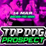 Top-Dog-Prospect-4
