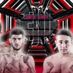 octagon 31
