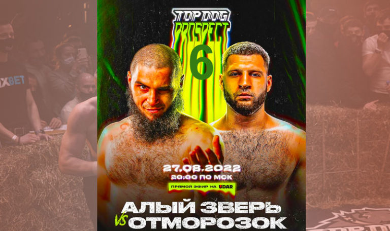top-dog-prospect-6