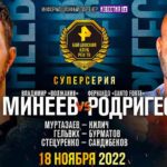Владимир-Минеев-vs-Фернандо-Родригес