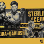 UFC-288