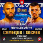 SHAMO-BOXING-Северный-характер
