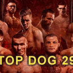 TOP-DOG-29